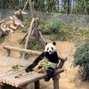 한일타운1차여성경로당 | 여행1(푸바옹❤️다옹)