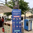 극성수기 캐리비안베이와 에버랜드 다녀오기