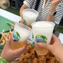 황태가맥사람들 | 전주가맥축제 2025 이렇게 즐기면 꿀잼｜꿀팁+먹거리+드론쇼 총정리