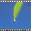 머물고 싶은 곳 이미지