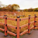 경안천습지생태공원 이미지