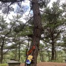 두원축산 | [경상도] 혼자 영덕 블루로드 트레킹 C코스 (3일차)