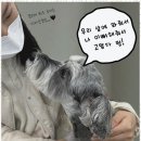 더나은 이미지