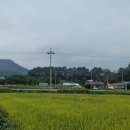 굿뜨레푸드