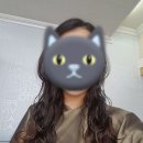 홍미장원 네이버블로그