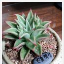 달욱농장 이미지