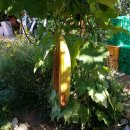 태경농장 이미지