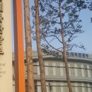 마술여행주식회사