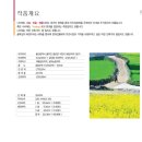 나비채 하우스 이미지