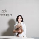 하나로동물병원 이미지