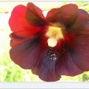 홀리허브 이미지