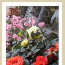 산정농원 이미지