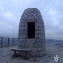 [서울 서대문구] 안짱
