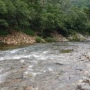 솔밭휴게소식당 이미지