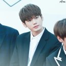플릭(fleek)