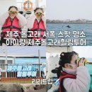 동일리-7 | 제주 서귀포 돌고래 서쪽 스팟 명소 아이랑 제주돌고래힐링투어 체험