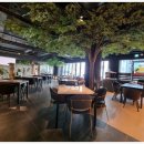 비스트로영 이미지