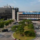 김제시 치매안심센터 이미지