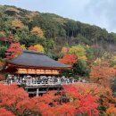 신사-211 | 3일차 필수 코스] 교토 단풍 200% 즐기기! 후시미 이나리 신사부터 기요미즈데라까지, 필수 코스 맛집 추천