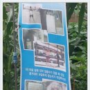 한작골농장 Daum카페