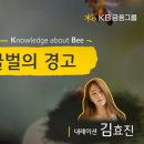 꿀벌 이미지