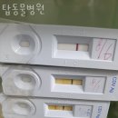 서해동물병원 이미지