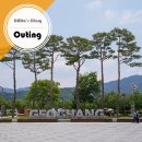 6월 대구근교 가볼만한 곳, 거창 나들이, 무료 식물원 창포원 후기입니다.