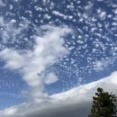 태광목장 이미지