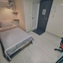 스테이 위드 신촌