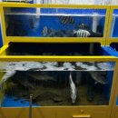 정정수산 이미지