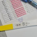 늘안아줄개 | 안아를 만나기 위한 일년(의식의 흐름)