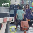 강아지대학로 이미지