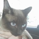 상봉2동 (3) 이미지