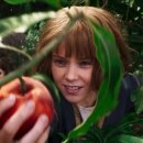 해석농장 이미지