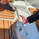 쉼표 솔하우스 이미지