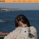 혜성관광