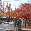 양구상회 - 양구군 장터길 40 | 양구상회
