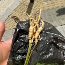 송강테마랜드 이미지