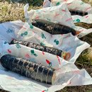 우리동네김밥가게 이미지