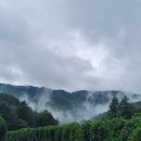 진밭골농부