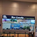 클릭게임방 | 후쿠오카 배편 부산 왕복 후기 &amp; 뉴카멜리아호 편의 내부시설 꿀팁 총정리