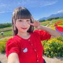 한그릇 | 삿포로 비에이 버스투어 준페이 식당 여행한그릇 후기