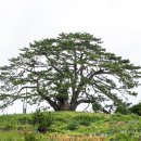 해송4로 이미지