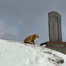 마리 도동마을 | 홋카이도 도동 여행 - 화이트 피리카호