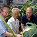 행운농장 이미지