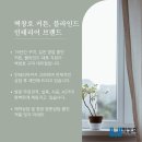 벽창호구미 이미지