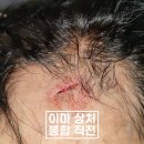 강동실비 이미지