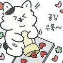 생바지락칼제비 이미지