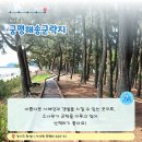궁평리어촌체험휴양마을 이미지