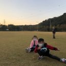 나는카페고양
